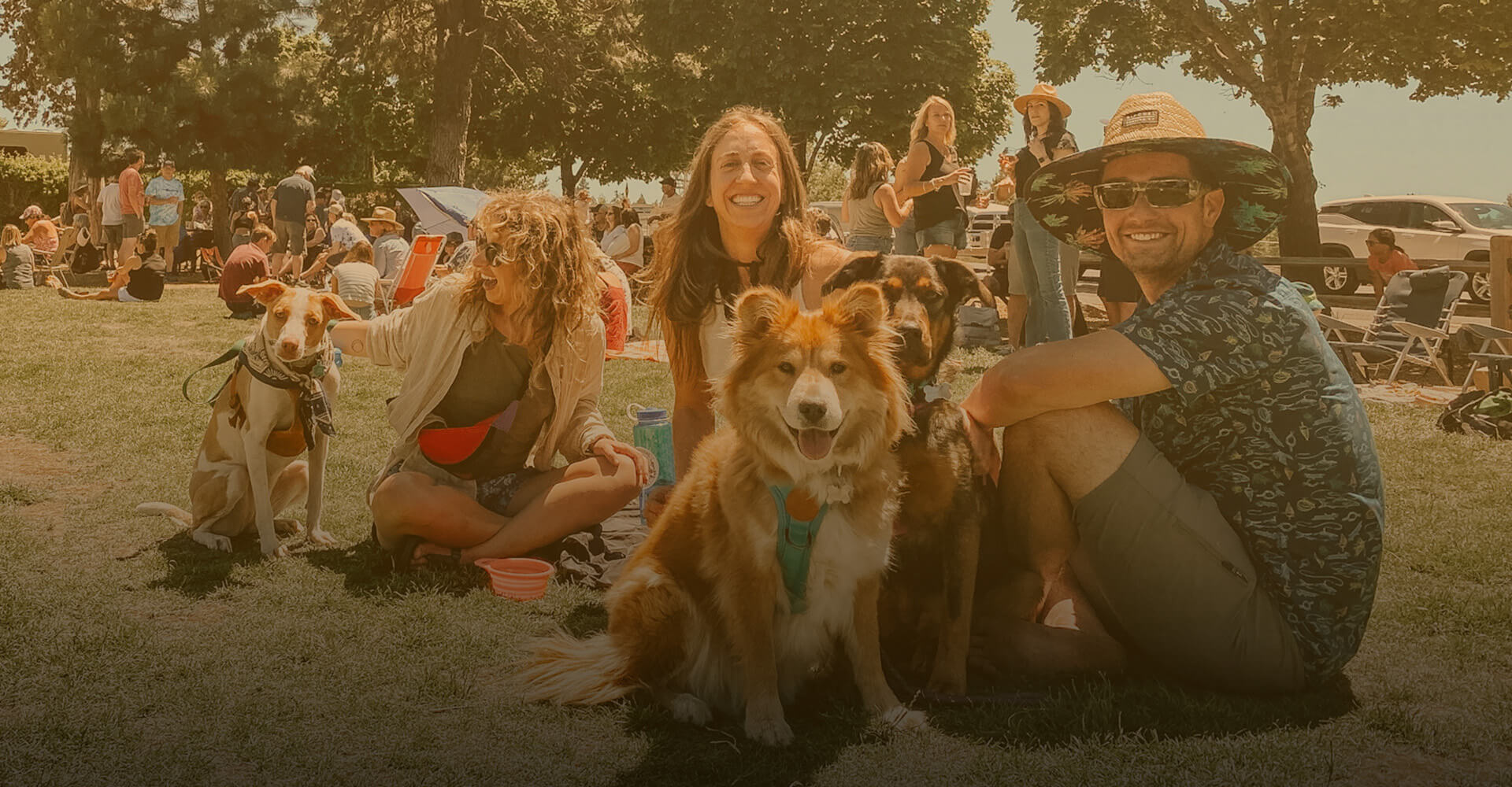 dogs and lager fest