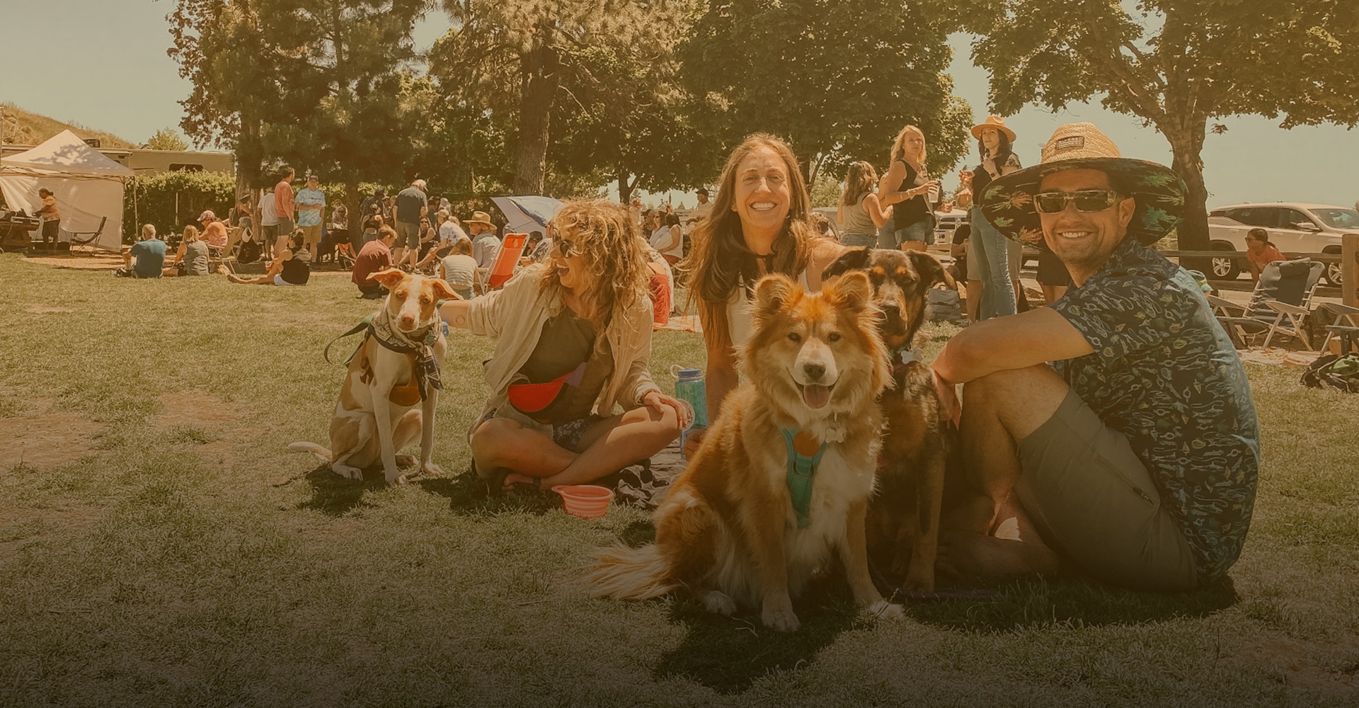 Dogs & Lagers Fest