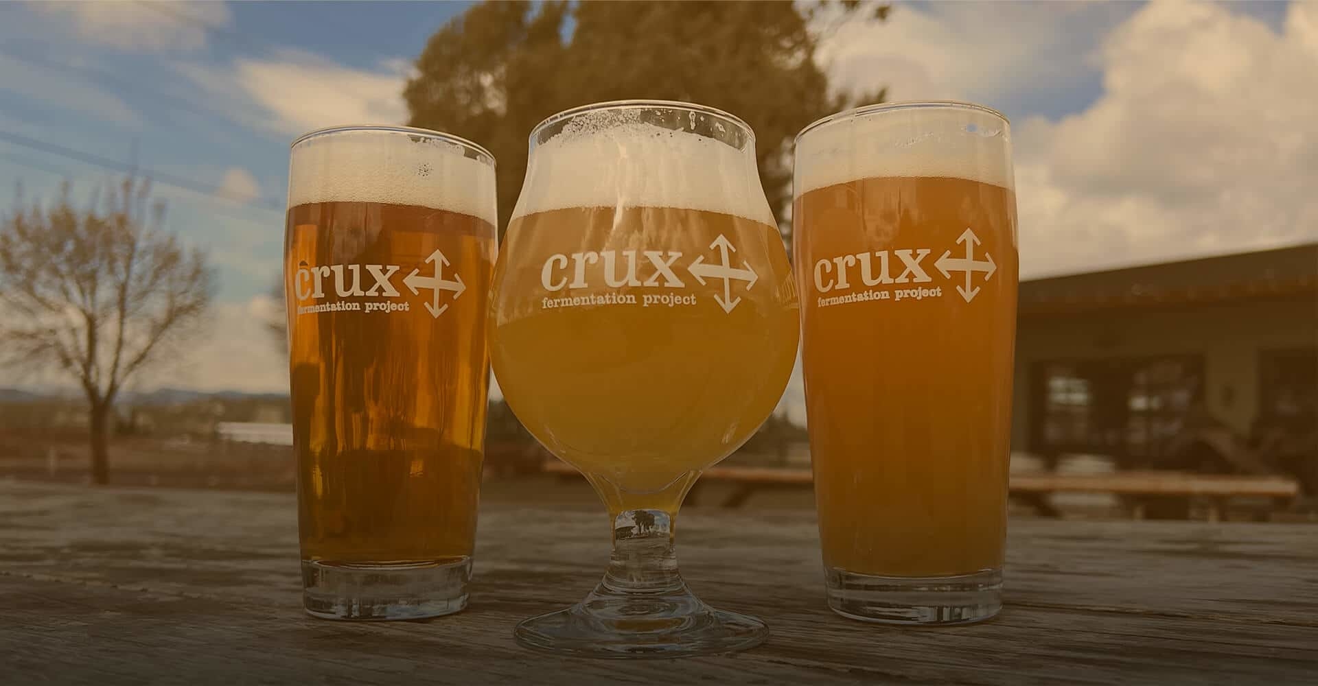 Crux Spring Beers